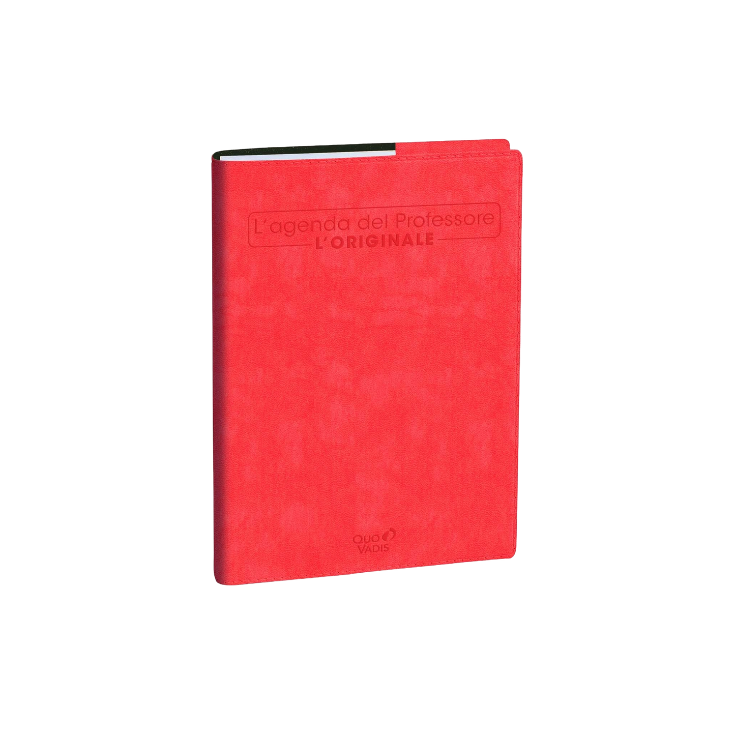Agenda del Professore Quo Vadis 2025-2026 - Formato Maxi 21x27 cm