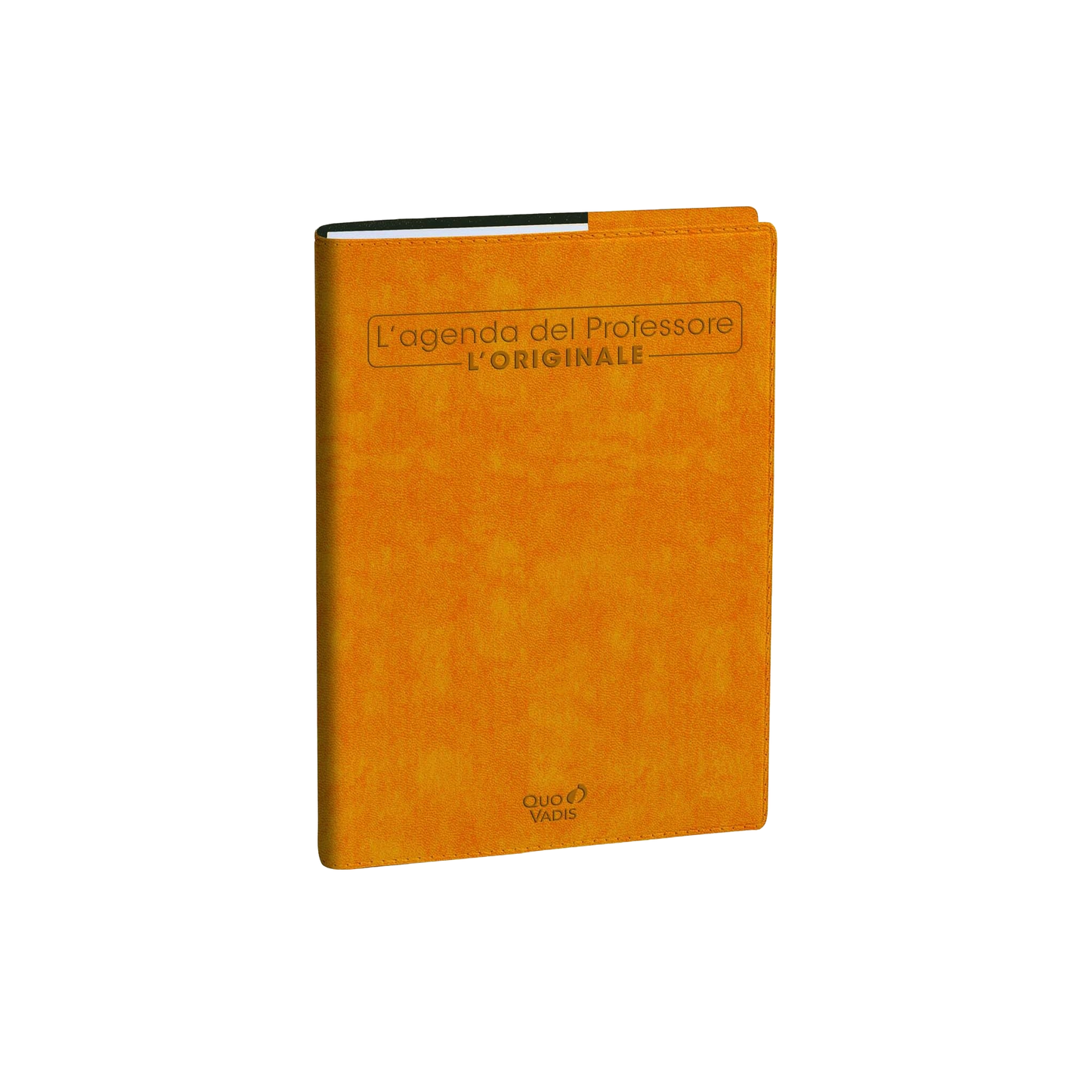 Agenda del Professore Quo Vadis 2025-2026 - Formato Maxi 21x27 cm
